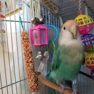 Meet your Posher, Praise